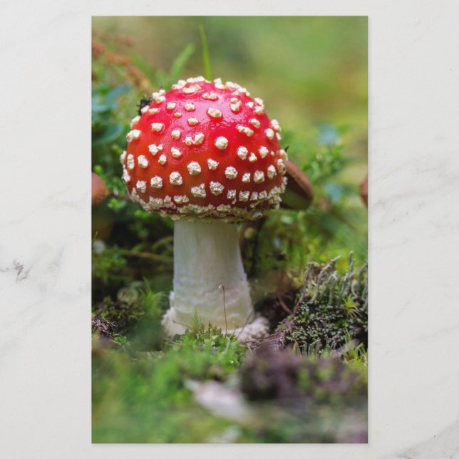 Autumn Beauty Briefpapier (Vorderseite)