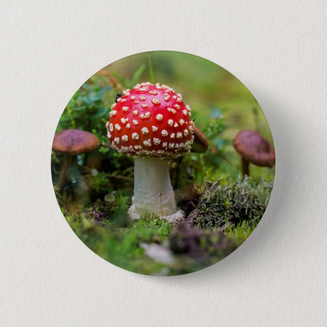 Autumn Beauty Button (Vorderseite)