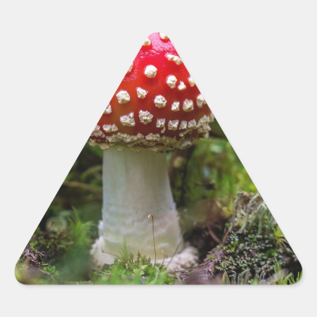 Autumn Beauty Dreieckiger Aufkleber (Vorderseite)