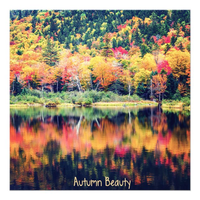 Autumn Beauty Fotodruck (Vorne)