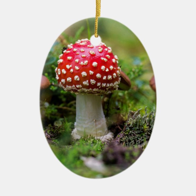 Autumn Beauty Keramikornament (Vorne)