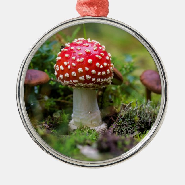 Autumn Beauty Ornament Aus Metall (Vorne)