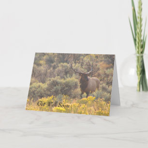 Autumn Bull Elk Custom Get Well Soon Card Karte