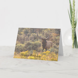 Autumn Bull Elk Custom Happy Birthday Card Karte