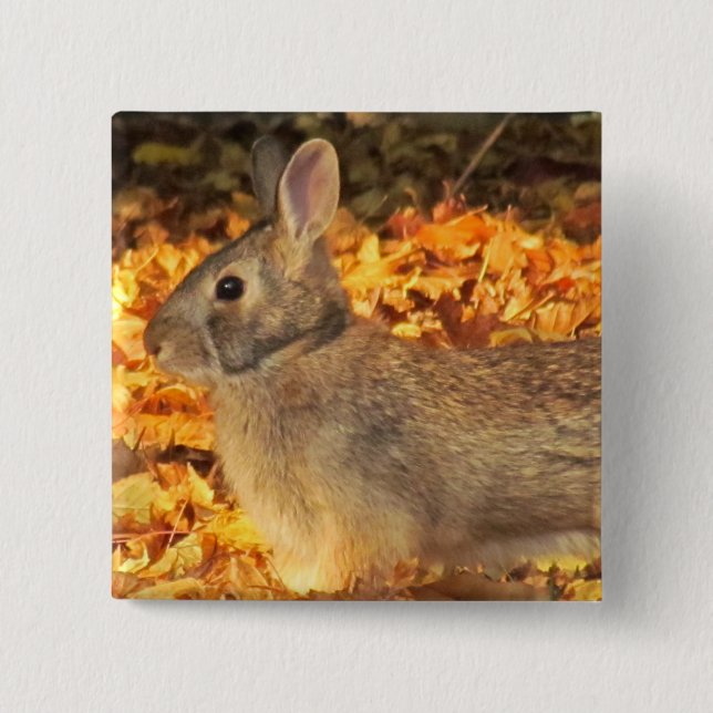 Autumn Bunny Button (Vorderseite)