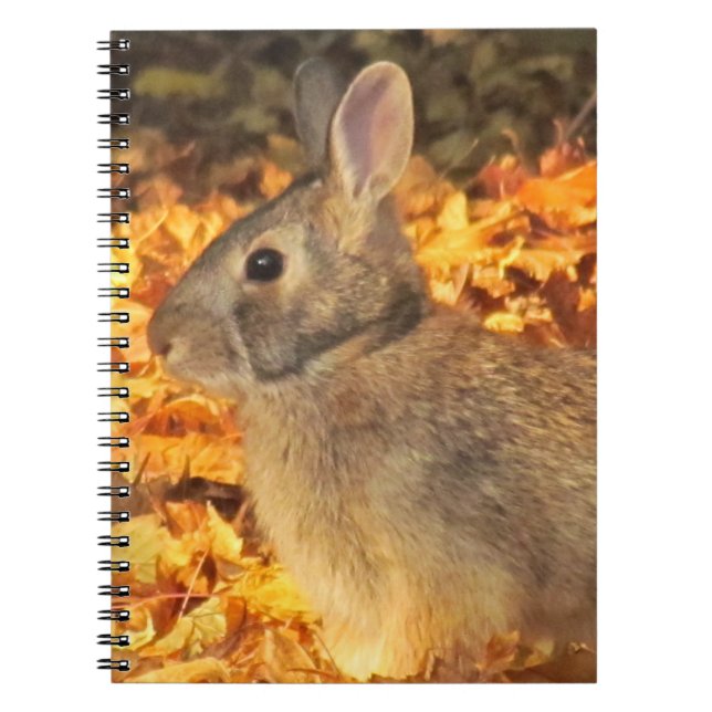 Autumn Bunny Notizblock (Vorderseite)