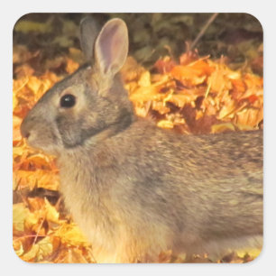Autumn Bunny Quadratischer Aufkleber
