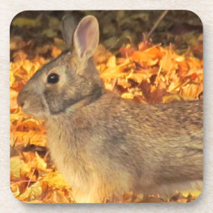 Autumn Bunny Untersetzer