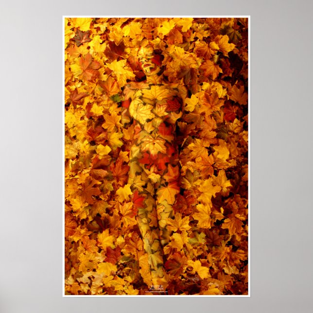 Autumn by Johannes Stötter Poster (Vorne)