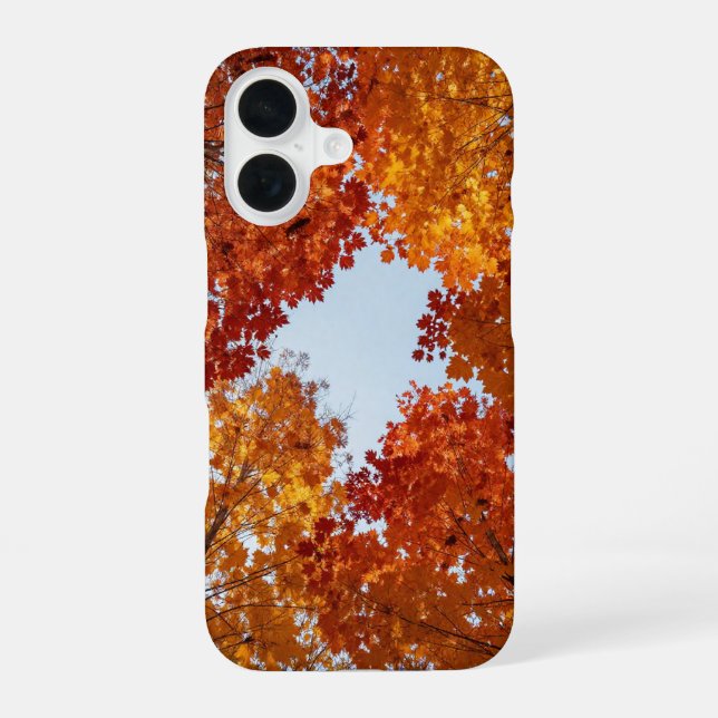 Autumn Canopy Fall Aesthetic Phone Case iPhone 16 Hülle (Rückseite)