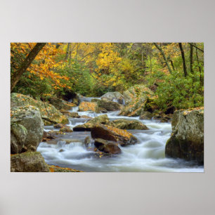 Autumn Cascade Print Poster
