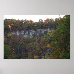 Autumn Cliffside Foto Poster