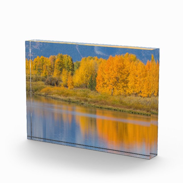 Autumn Colored Aspen Trees Fotoblock (Rechts)