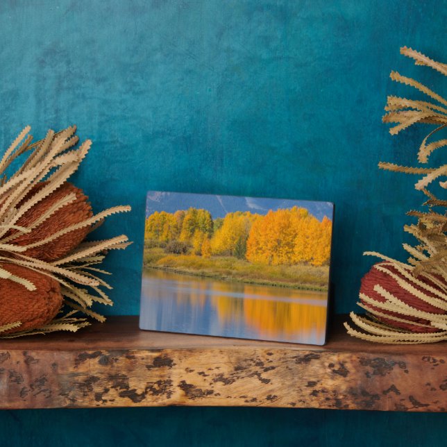 Autumn Colored Aspen Trees Fotoplatte (Seite)