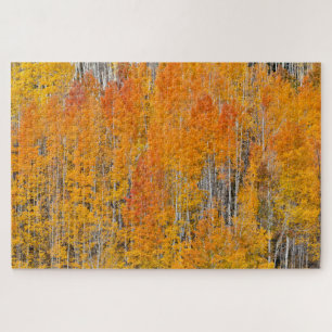 Autumn Colors on Aspen Groves Puzzle