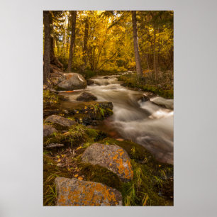 Autumn colors on Crestone Creek Poster