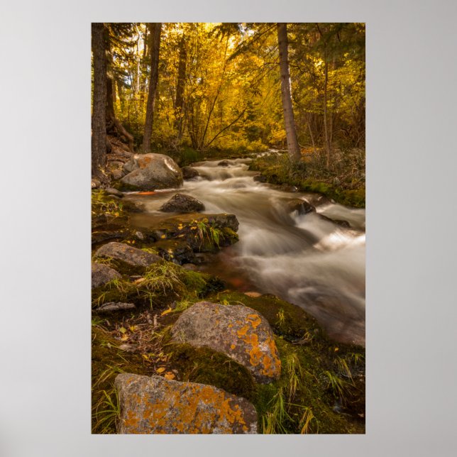 Autumn colors on Crestone Creek Poster (Vorne)