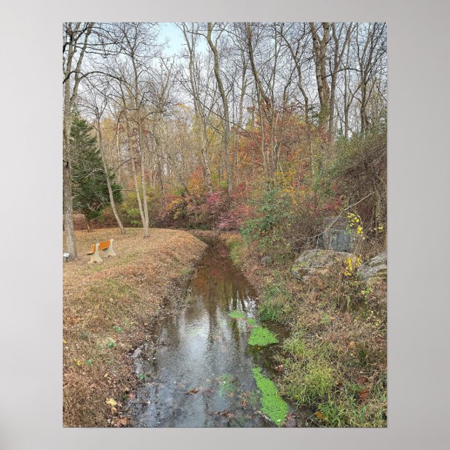 Autumn Creek Foto Poster (Vorne)