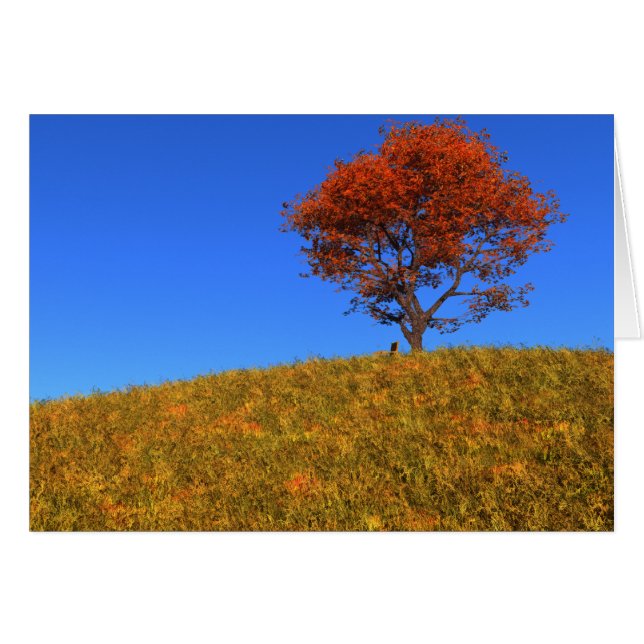 Autumn Day Card löschen (Vorderseite (Horizontal))