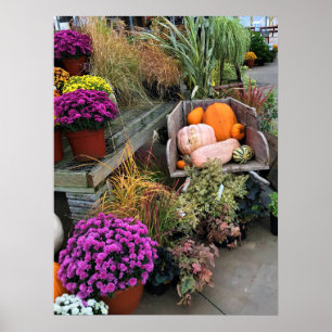 Autumn Decor Poster