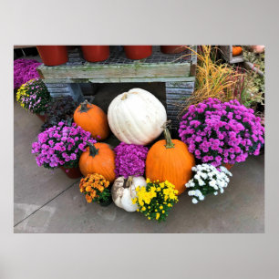 Autumn Decor Poster