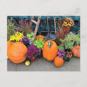 Autumn Decor Postkarte