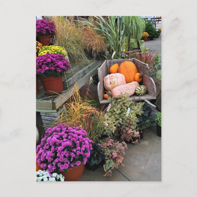 Autumn Decor Postkarte (Vorderseite)