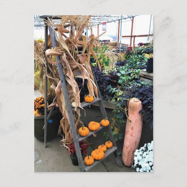 Autumn Decor Postkarte (Vorderseite)