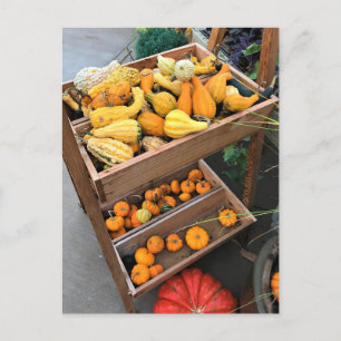 Autumn Decor Postkarte