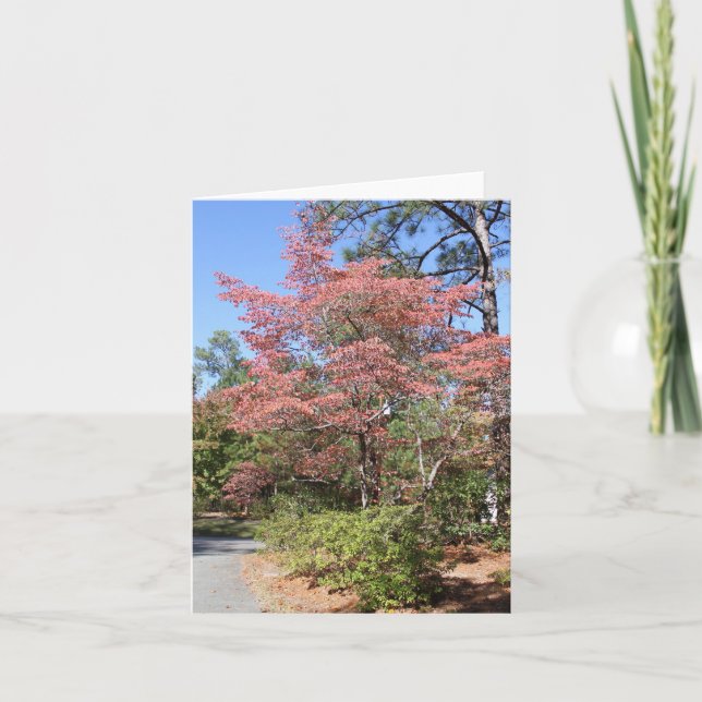 AUTUMN DOGWOOD KARTE (Vorderseite)