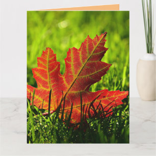 AUTUMN FALL BIRTHDAY GREETING CARD KARTE