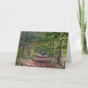 Autumn Footpath Poynton Cheshire Postcard Karte