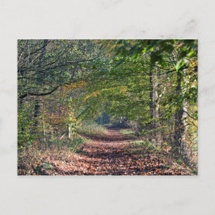 Autumn Footpath Poynton Cheshire Postkarte