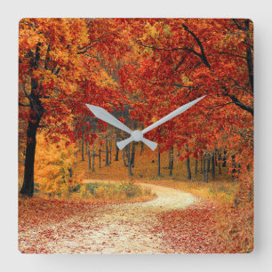 Autumn Forest Quadratische Wanduhr