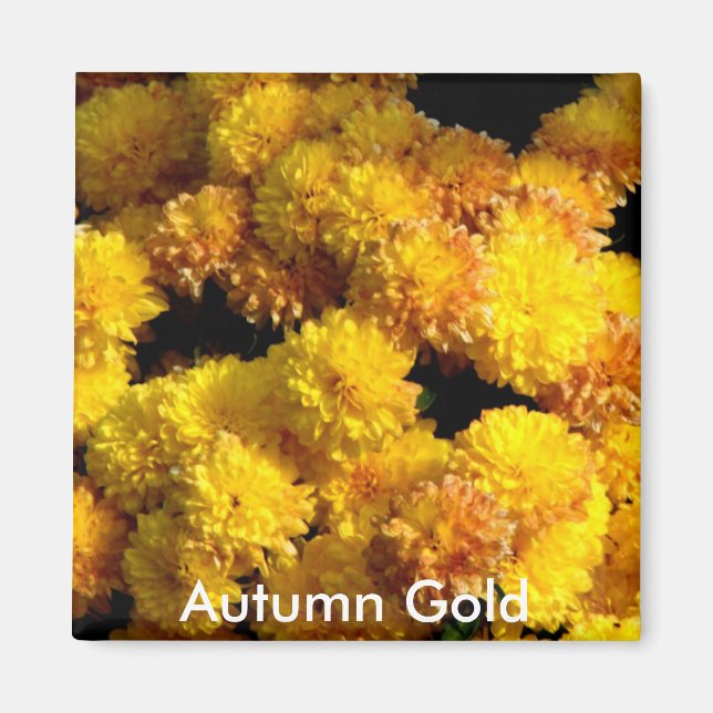 Autumn Gold Magnet (Vorne)