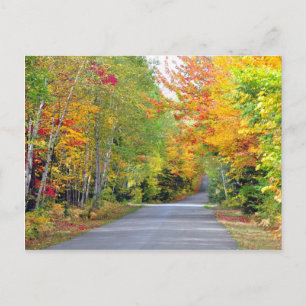 Autumn Herbstfarben Road Quebec Canada Postcard Postkarte