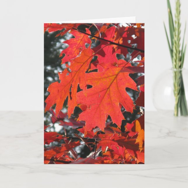 AUTUMN HERBSTLAUB HELLO GREETING CARD KARTE (Vorderseite)