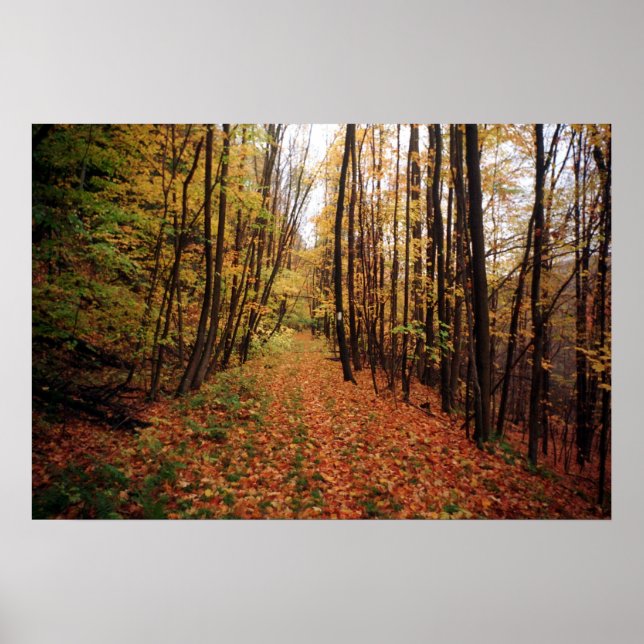 Autumn Hike Poster (Vorne)