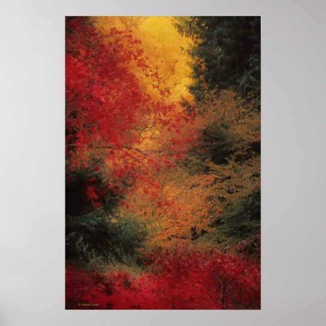 Autumn Impression Poster (Vorne)