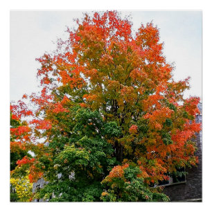 AUTUMN IST GOTT-PALETTE POSTER