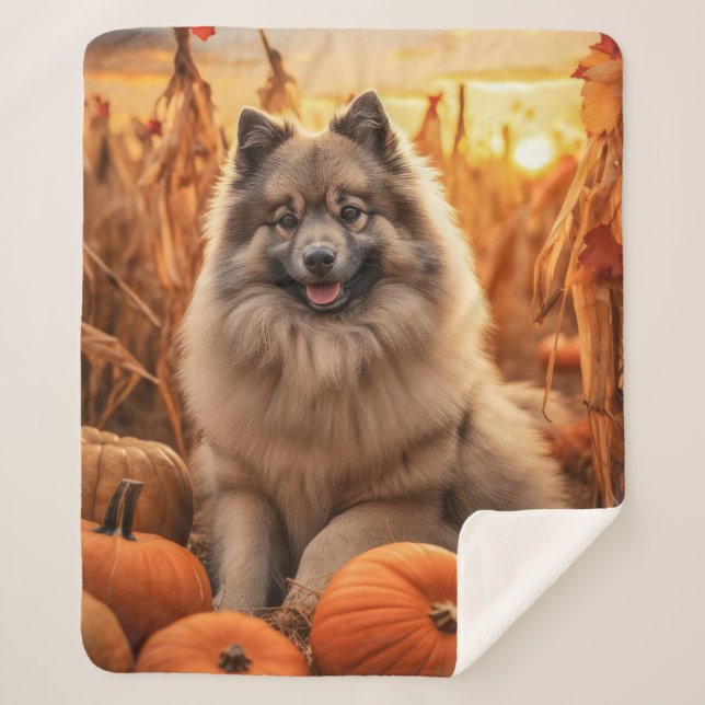 Autumn Keeshond Sherpadecke (Vorderseite)