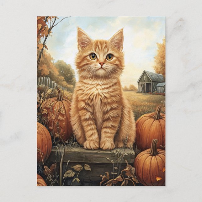 Autumn Kitten mit Pumpkins Postkarte (Vorderseite)