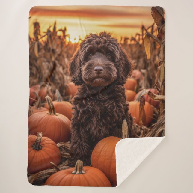 Autumn Labradoodle Sherpadecke (Vorderseite)