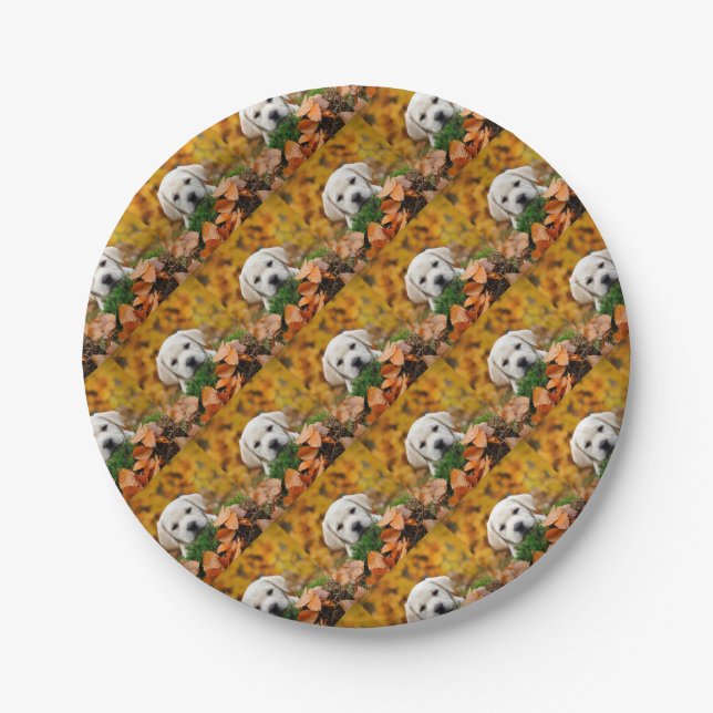 Autumn Labrador Pappteller (Vorderseite)