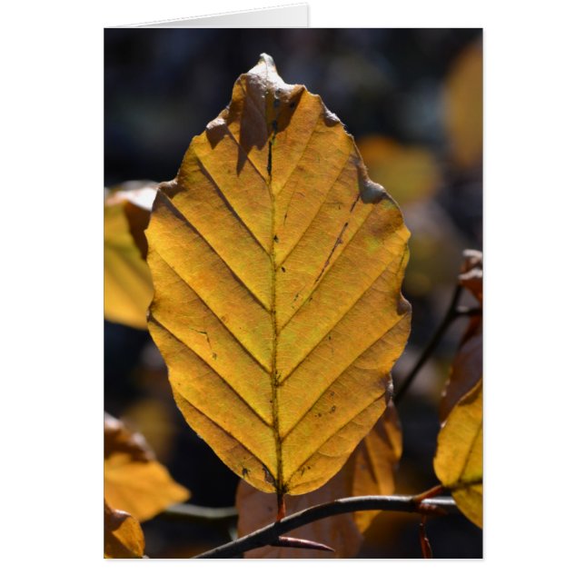 Autumn Leaaf Card (Vorne)