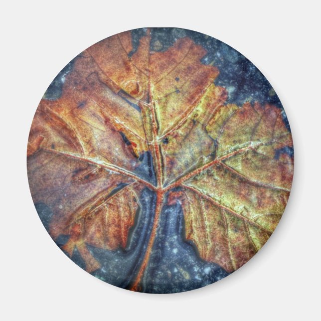 Autumn Leaf Magnet (Vorne)