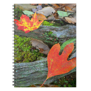Autumn Leaf Notebook Notizblock