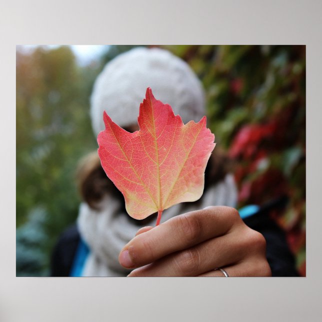 Autumn Leaf poster (Vorne)