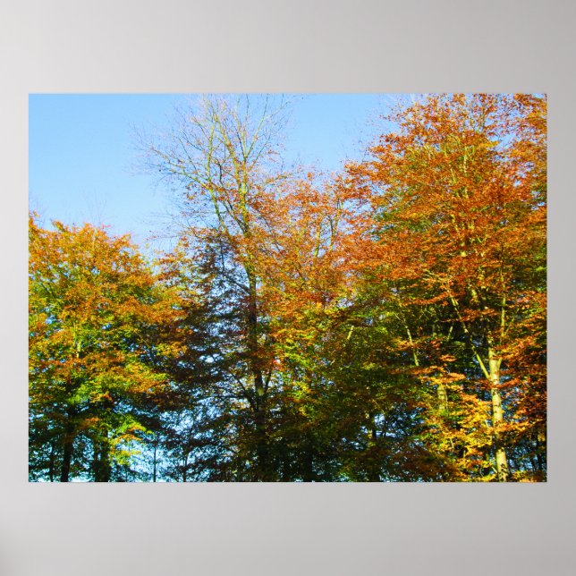 Autumn Leaves & Blue Skies - Personalised Poster (Vorne)