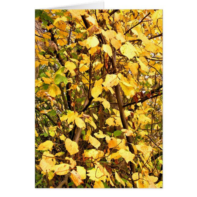 AUTUMN LEAVES CARD (Vorne)